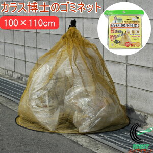 JXm̃S~lbg EG-40 RCP S~lbg lbg S~ JX JX悯 Q΍ F JvTCV S~u Ȃh[` S~r炵 h~