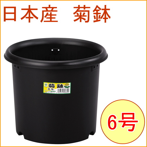 菊鉢 6号 ブラック  RCP 日本製 園芸 ガーデニング ガーデン 鉢 植木鉢 栽培 プラスチック