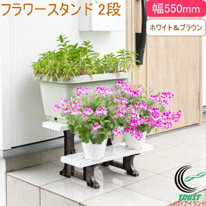 t[X^h 2i 550mm c[g SV-3369 RCP { | |bN t[X^h K[fjO K[fbN u Aؔ  Vv O  y vX`bN  