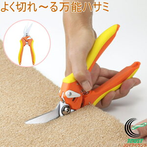 悭؂`閜\nT~ SV-3789 RCP nT~ ͂  \ ؂ Jbg \tgObv J[ybg i{[ CD } ֗ObY lR|XΉ