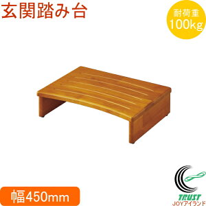 ֓ݑ45 VE-1 uE N-7553 RCP  Xebv   t~_C ؐ i T|[g ⏕ q N VjA ~