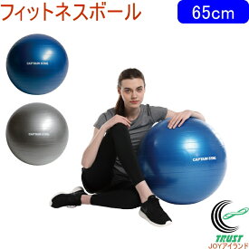 キャプテンスタッグ Vit Fit フィットネスボール 65cm 全2色 RCP ストレッチ 運動 エクササイズ 健康 ヨガ ボール ヨガボール フィットネスボール 体幹 バランス フィットネス ダイエット