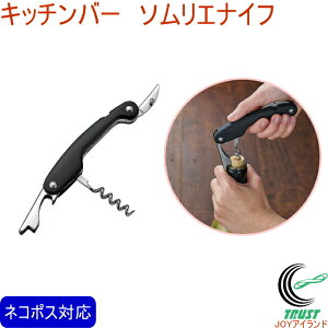 Lb`o[ \GiCt KIB-201 RCP lR|XΉ C \GiCt RN RN  J h 𔲂 iCt Jbg C