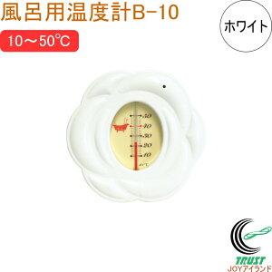 Cpxv B-10 [Y zCg 73097 RCP xv x Cp xǗ   Ԃ [Y  A} Rۍܔz 킢