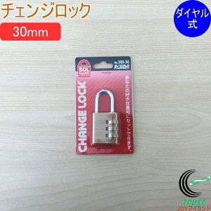 SOLHARD No.300 `FWbN 30mm RCP h hƃObY bN  JM  싞 _C ^J ^イ lR|XΉ