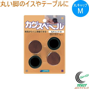 JOXx[ ۃLbv M 4 RCP { ی^ Lbv CX e[u r ƋXx[ Ƌړ z | | N ͗lւ