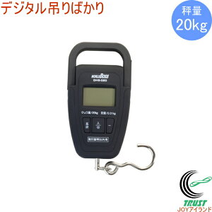 [h{X fW^݂΂ 20kg DHS-020 RCP ͂  v XP[ fW^ ݂΂ _ _앨  