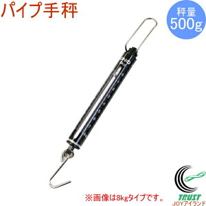 [h{X pCv蔉 500g WB05 RCP ͂  v XP[ 蔉  ol 