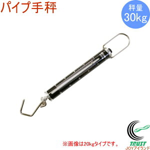 [h{X pCv蔉 30kg WB30 RCP ͂  v XP[ 蔉  ol 