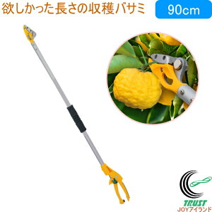 X}[gJbg 90cm No.366 RCP | K[fjO  ͂ nT~ } }؂oT~ }؂΂ }  y   ʎ n  |oT~