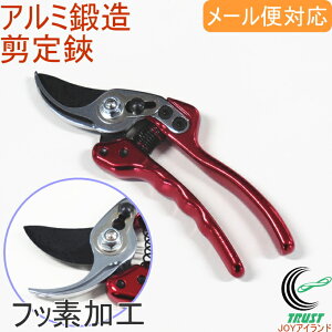 A~b X  ARMT-SS RCP | K[fjO v ͂ nT~ ͂ oT~ y lR|XΉ