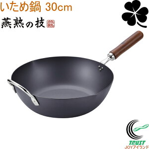 n̋Z N[o[ V[Y ߓ30cm CTT-1200 { S тɂ v tCp  ߓ 30cm  Lb`pi IHΉ KXOK n̋Z N[o[ 悱 V