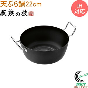 n̋Z VՂ 22cm EJTF-300 RCP  200VEIHΉ { OY S S Lb`pi pi Lb`  Ȃ VՂ  V
