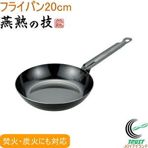 n̋Z vX^C tCp 20cm EJTP-300 RCP  { OY tCp 200VEIHΉ KX  Y S S Lb`pi pi Lb` AEghA Lv