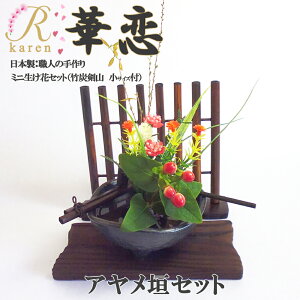 @ؗyNO19@A_ZbgzZā@ԁ@~jԃZbg@|YRt@ԁ@a v[g  ʉ } ސE j  搶  CeA  JX 