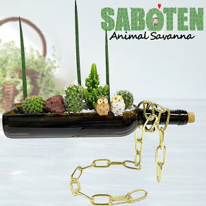 ���������@�T�{�e���A�j�}���yjy14�z���C���{�g���@���ɕ����@�{�g���@�`�F�[���{�g���@���@�S�[���h�@�V���o�[�@�t�N���E�@�a���� �v���[���g �� �C���X�^�f���@�o�[�@bar�@���[�v ���C