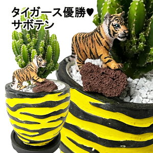 ���������@�A���@�^�C�K�[�X�D�����߂łƂ��T�{�e���@��_�^�C�K�[�X�@�b�q���@�D���@�^�C�K�[�X�@�T�{�e���A�j�}���yNOtg�z�Z���E�X�@�^�C�K�[�@�g���@�Ձ@��_�@��_�^�C�K�[�X�@����