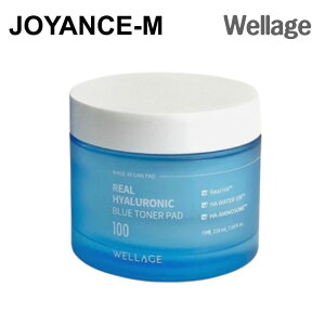 yWELLAGE zAqAjbNu[gi[pbh 70 /Real Hyaluronic Blue Toner Pad (70 sheets)/EF[W/ێ/e/qA_z Zet/XLPA/̃oA//؍RX