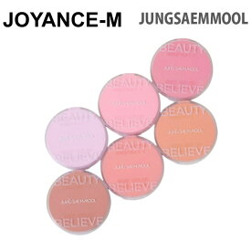 【JUNGSAEMMOOL】アーティストクッションブラッシュチーク 4g / Artist Cushion Blush Blur / クッションファンデ 化粧 化粧品 メイクアップ 韓国コスメ