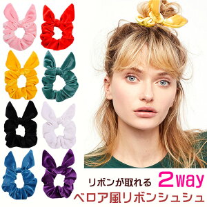 X[p[Z[ SALE  N[| VV { ̖ N xA wAS wAANZ 2way O wAX^C  S   rbO _炩 N    