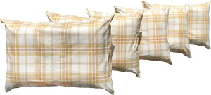Ԍ聚  5 Jo[t SΖ NX 43×63cm YE yZbgz y{z y΁z y΂z yΖz yΊkz ySΖz y΂܂z y\o܂z