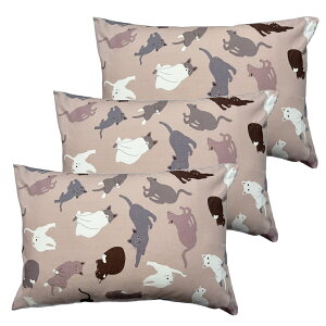 3 Jo[ Lbg 35×50cm x[W  { Q  S  Ɩp xbhp   [J[ 􂦂 ܂炩΁[  킢 sP[X s[P[X 