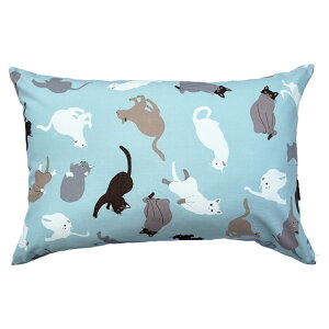 1 Jo[ Lbg  43×63 cm u[  { Q  S  Ɩp xbhp   [J[ 􂦂 ܂炩΁[  킢 sP[X s[P[X 