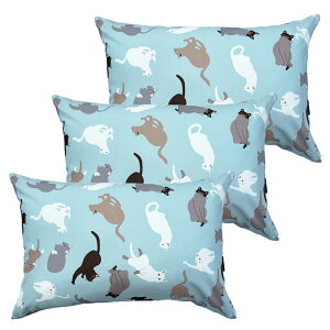 3 Jo[ 43x63 Lbg 43×63cm sN  { Q  S  Ɩp xbhp   [J[ 􂦂 ܂炩΁[  킢 sP[X s[P[