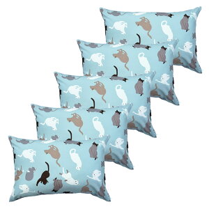 Jo[ 43x63 5 Lbg 43×63cm sN  { Q  S  Ɩp xbhp   [J[ 􂦂 ܂炩΁[  킢 sP[X s[P[