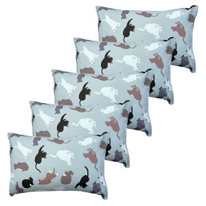 5 Jo[ Lbg 35×50cm sN  { Q  S  Ɩp xbhp   [J[ 􂦂 ܂炩΁[  킢 sP[X s[P[X R