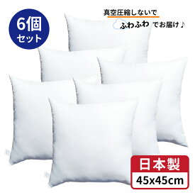 6個セット 送料無料 ヌードクッション 6個 中身 45x45 cm ホワイト 日本製 無圧縮タイプ ふんわり ボリューミー ポリエステル わた 使用 クッション中身 45x45 クッション セアテ 背あてクッション 背当てクッション セアテクッション 背あて 45 45 ホコリが出にくい 正規品