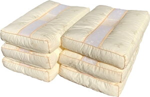 ★数量限定★ ★送料無料★ 6個セット マチ付やわらかめソフトパイプ枕 中材 約1kg 約35×50cm BE 【パイプ日本製】【国内加工】 【パイプ】 【パイプ枕】 【通気性】 【PB】 【ピロケース】 【