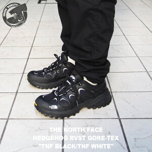 THE NORTH FACE HEDGEHOG RVST GORE-TEX nf02541 KW(TNFubN×TNFzCg) m[XtFCX wbWzbO RVST SAebNX Y