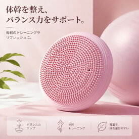 バランスディスク ヨガ バランストレーニング コアトレーニング 極厚 プレミアムバランスディスク 大人用 バランスと感覚ウィグルシート