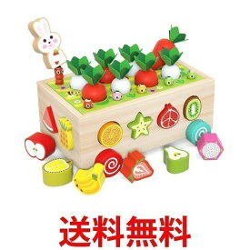 木のおもちゃ おもちゃ 知育玩具 型はめ 引っ付き虫 積み木 子ども 出産祝い