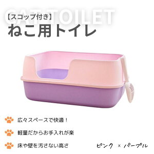 LgC@RpNg [ ^ ^ L gC LXTCY lp ɂ΍ L e Vv J Uh~ UK[h Lp lRpi XRbvt Lpi@傫߁@􂢂₷