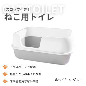 LgC@RpNg [ ^ ^ L gC LXTCY lp ɂ΍ L e Vv J Uh~ UK[h Lp lRpi XRbvt Lpi@傫߁@􂢂₷