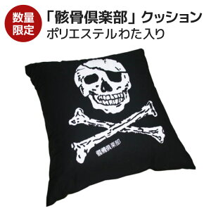 ʌi wNbV u[yv 50×50cm 킽HłӂӂY w \t@NbV XJ { KCRc hN  ubN mg[ p[eB