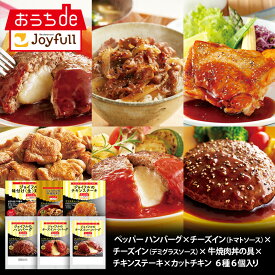 福袋 ジョイフル お楽しみ 詰合せセット 6種6個入り チーズインハンバーグ デミグラスハンバーグ おかず 冷凍 おかずセット 総菜セット 冷凍食品 詰め合わせ お惣菜セット お歳暮 クリスマス