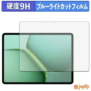 �y 9H �u���[���C�g�J�b�g �z�t�B���� vivo iQOO Pad5e ������ �ی�t�B���� �u���[���C�g�J�b�g�t�B���� �A���`�O���A ���d�x ���˖h�~ �w��h�~ �t���ی�t�B����