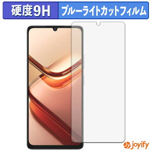 《ポイント2倍》 【 9H ブルーライトカット 】フィルム DOOGEE Note 58 / 58 Pro 保護フィルム ブルーライトカットフィルム アンチグレア 高硬度 反射防止 指紋防止 液晶保護フィルム