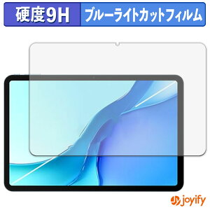 �y 9H �u���[���C�g�J�b�g �z�t�B���� DOOGEE POCKAM P13 PRO �ی�t�B���� �u���[���C�g�J�b�g�t�B���� ���� ���d�x �w��h�~ ��ʕی� �t���ی�t�B����