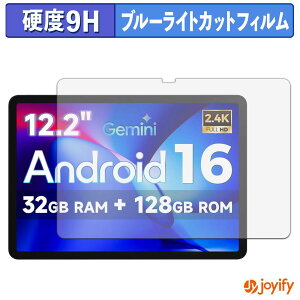 �y���������}���\���|�C���g2�{�z �y 9H �u���[���C�g�J�b�g �z�t�B���� FPD CP12-J1 �ی�t�B���� �u���[���C�g�J�b�g�t�B���� ���� ���d�x �w��h�~ ��ʕی� �t���ی�t�B����