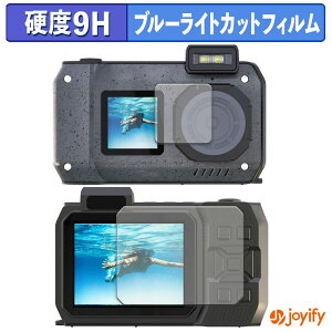 �y 9H �u���[���C�g�J�b�g �z�t�B���� AGFAPHOTO WP9500 ( �O�� / �w�� ) �ی�t�B���� �u���[���C�g�J�b�g�t�B���� ���� ���d�x �w��h�~ ��ʕی� �t���ی�t�B����