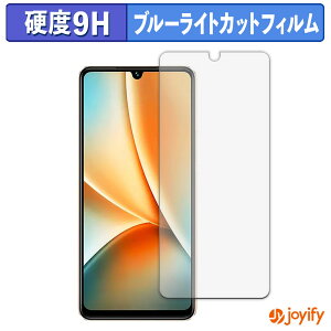 �y 9H �u���[���C�g�J�b�g �z�t�B���� vivo Y100 �O���[�o���� �ی�t�B���� �u���[���C�g�J�b�g�t�B���� ���� ���d�x �w��h�~ ��ʕی� �t���ی�t�B����