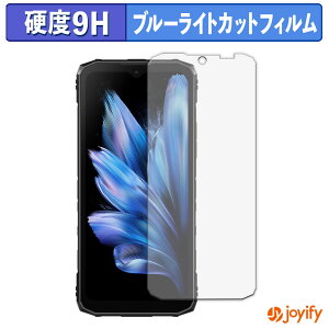 �y�|�C���g2�{�z �y 9H �u���[���C�g�J�b�g �z�t�B���� DOOGEE Blade10 / Blade10 Ultra / Blade10 Pro �ی�t�B���� �u���[���C�g�J�b�g�t�B���� ���� ���d�x �w��h�~ ��ʕی� �t���ی�t�B����