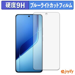 �y 9H �u���[���C�g�J�b�g �z�t�B���� vivo iQOO Neo10 Pro+ �ی�t�B���� �u���[���C�g�J�b�g�t�B���� ���� ���d�x �w��h�~ ��ʕی� �t���ی�t�B����