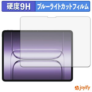 �y�|�C���g2�{�z �y 9H �u���[���C�g�J�b�g �z�t�B���� OnePlus Pad 2 Pro �ی�t�B���� �u���[���C�g�J�b�g�t�B���� ���� ���d�x �w��h�~ ��ʕی� �t���ی�t�B����