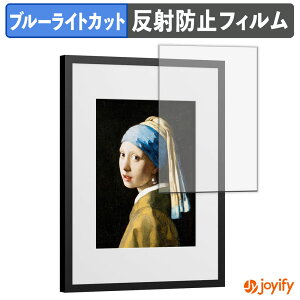 �y �u���[���C�g�J�b�g �z�t�B���� SwitchBot AI�A�[�g�L�����o�X 13.3�C���` �ی�t�B���� �A���`�O���A ���˖h�~ �ی� �u���[���C�g�J�b�g�t�B���� �w��h�~ �t���ی�t�B����