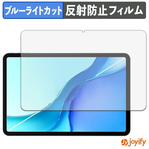 �y�|�C���g2�{�z �y �u���[���C�g�J�b�g �z�t�B���� DOOGEE POCKAM P13 PRO �ی�t�B���� �A���`�O���A ���˖h�~ �ی� �u���[���C�g�J�b�g�t�B���� �w��h�~ �t���ی�t�B����